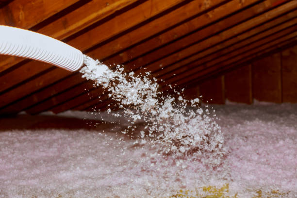 Best Insulation Removal  in Hudson, WI