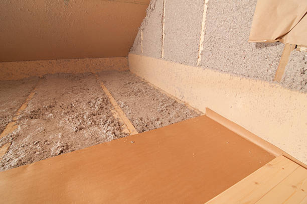 Best Insulation Removal  in Hudson, WI